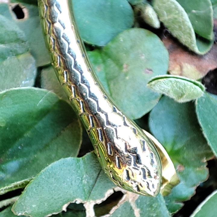 Schlangendetail